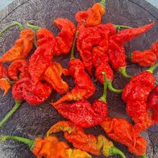Afbeeldingsresultaat voor chili maya hot pepper hot pepper