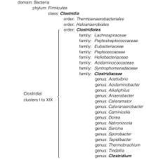 Image result for genus