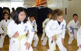 Image result for Aylesbury Vale Seido Karate