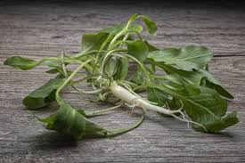 Image result for Campanula rapunculus