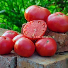 Afbeeldingsresultaat voor caspian pink tomato