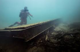 Image result for Dive Crew Scuba Diving