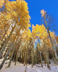 Image result for $$fall_akte__ort$$