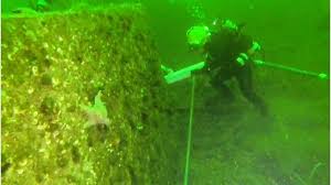 Image result for Breakwater Divers