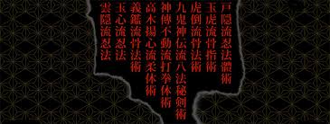 Image result for Budo Warrior Schools