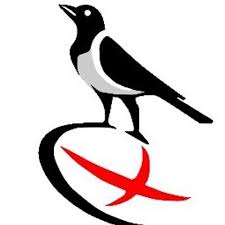 Image result for Royston Rufc