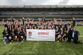 Image result for pulborough netball club