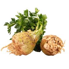 Image result for Sellerie