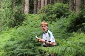 Image result for Essex Stragglers