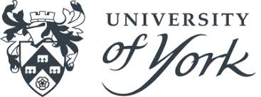 Image result for York University Netball Club