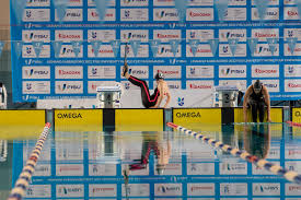 Image result for Swansea Finswimming Club