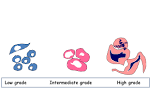L3-Patho Neoplasia (Basic Concepts) « The Rise of Caliphate