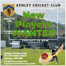 Image result for Southern Railway & Kenley Cricket Club