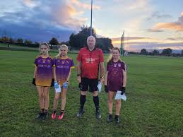 Image result for Carryduff Gaelic Athletic Club