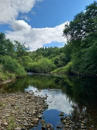 Image result for Runnymede Angling Association