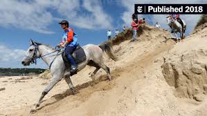 Image result for Uwe Riding Club