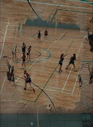 Image result for Brampton Royal Oak Netball Team