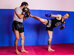 Image result for Elite Martial Arts Academy