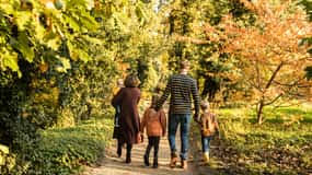 Image result for Arboretum Trompenburg