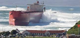 Image result for Pasha bulker