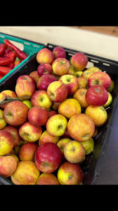 Image result for Horrabridge Badminton Club