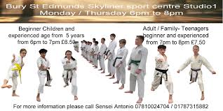 Image result for Ipswich Shotokan Karate Club