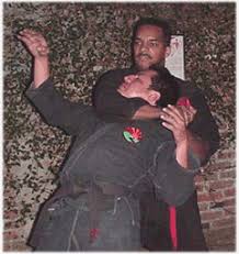 Image result for Goshin Ryu Atemi JuJitsu