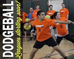 Image result for Harborough Junior Dodgeball Club