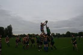 Image result for Weybridge Vandals Rugby Club