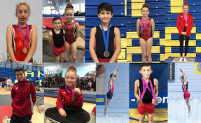 Image result for South Western Gymnastics Club