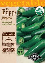 Afbeeldingsresultaat voor jalapeno early hot pepper