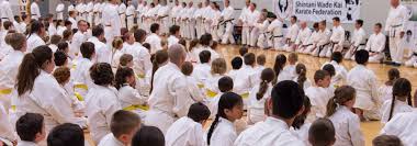 Image result for Norfolk Karate