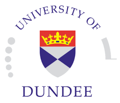 Image result for Dundee University I.R.H.C