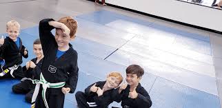 Image result for Skillz Martial Arts