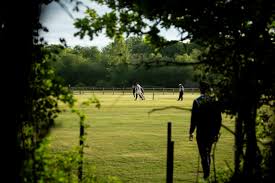 Image result for Cadnam Cricket Club