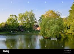 Image result for Shottermill Cricket Club