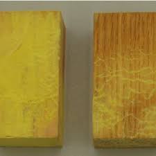 Attēlu rezultāti vaicājumam “Sarcodontia crocea”