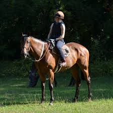 Image result for Elite Racing Club