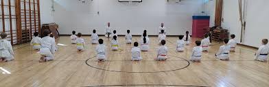Image result for Haslemere Shotokan Karate Club
