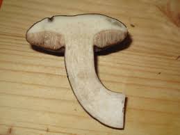 Attēlu rezultāti vaicājumam “Porphyrellus porphyrosporus”