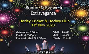 Image result for Horley Hockey Club