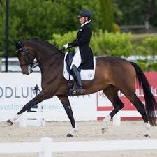 Image result for Annandale Equestrian Centre