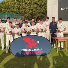 Image result for Pontarddulais Cricket Club