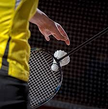 Image result for Ware Badminton Club