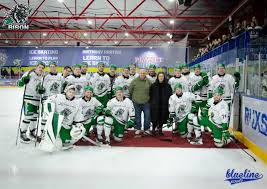 Image result for Basingstoke Bison Ice Hockey Club