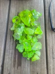 Attēlu rezultāti vaicājumam “Diphyus latebricola”