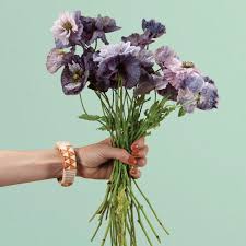 Image result for Papaver rhoeas 'Shirley'