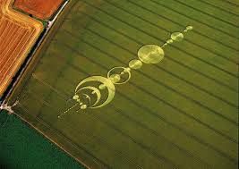 Image result for crop circles