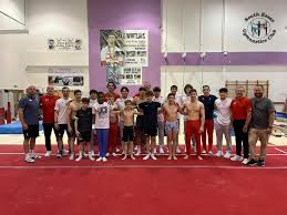 Image result for South Essex Gymnastics Club