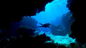 Image result for Blue Water Diving